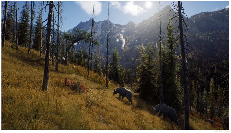 Way of the Hunter [GRA PS5]