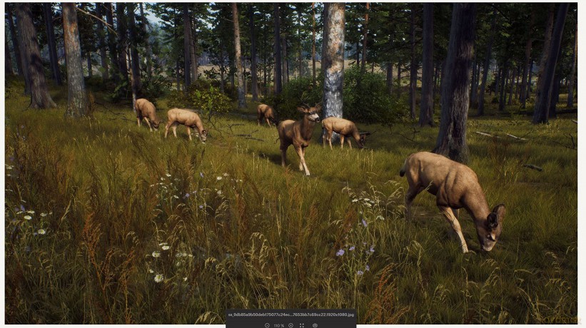 Way of the Hunter [GRA PS5]