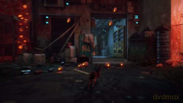 Stray [GRA PS5]