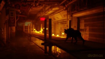 Stray [GRA PS5]