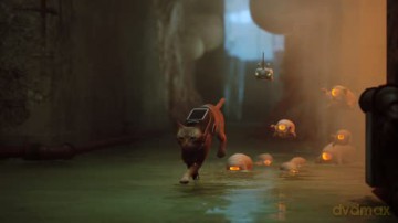 Stray [GRA PS4]