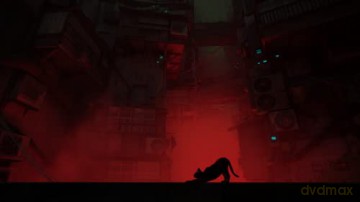 Stray [GRA PS4]