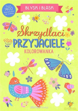 Błysk i blask. Skrzydlaci przyjaciele [KSIĄŻKA]