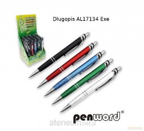 Długopis Exe (30szt)