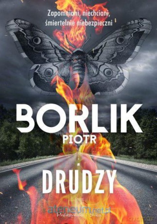 Drudzy - Piotr Borlik [KSIĄŻKA]