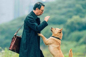 Hachiko [Blu-Ray]
