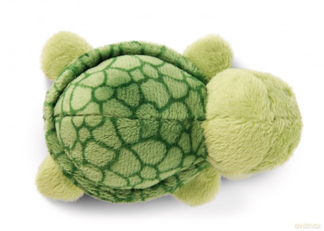 MagNICI Żółw Tateus magnes 10cm