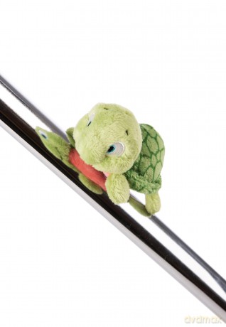 MagNICI Żółw Tateus magnes 10cm