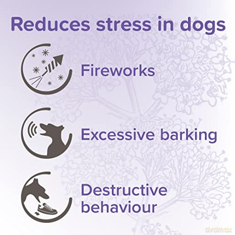 Beaphar - calming spot on for dogs - (BE13900)