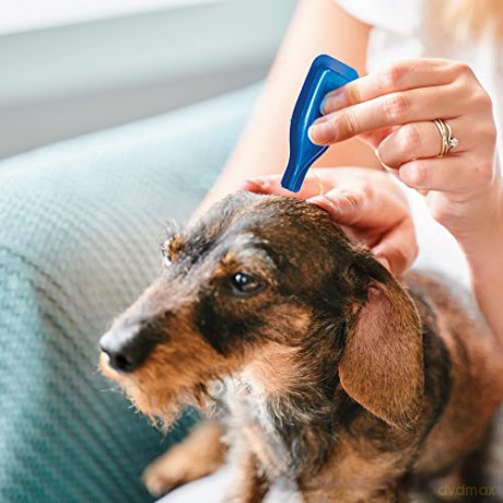Beaphar - calming spot on for dogs - (BE13900)