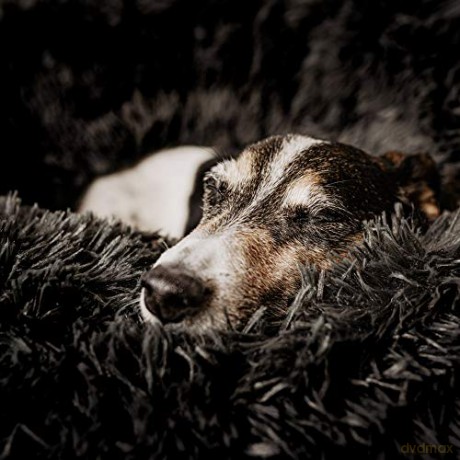 District70 - Fuzz Dog- and catbed, dark grey, Small - (871720261391)