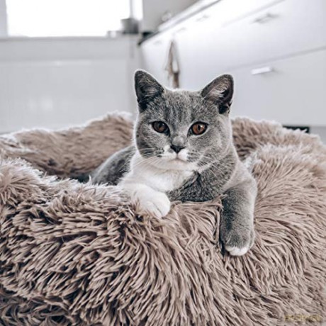 District70 - Fuzz Dog- and catbed, sand, Medium - (871720261389)