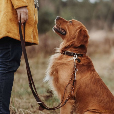 Hunter - Training leash Solid Education Cord 20/200, dark brown/orange - (69325)