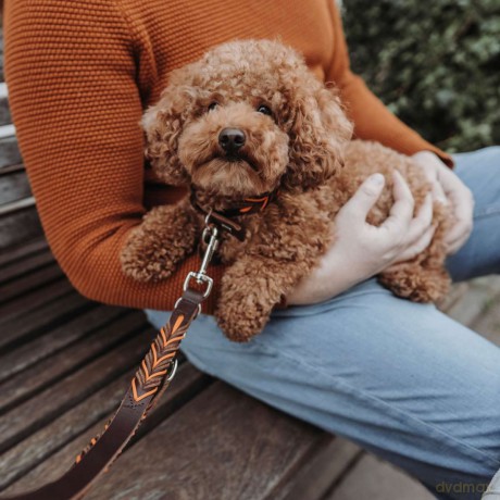 Hunter - Training leash Solid Education Cord 20/200, dark brown/orange - (69325)