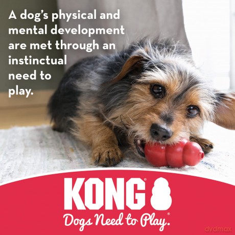 Kong - Goodie Bone L 8,5 cm x 21,5 cm - (KONG10014E)