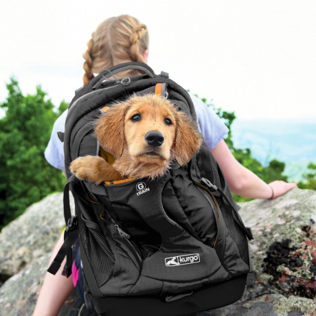 KURGO - G-Train Dog Carrier Backpack, Black - (81314601683)