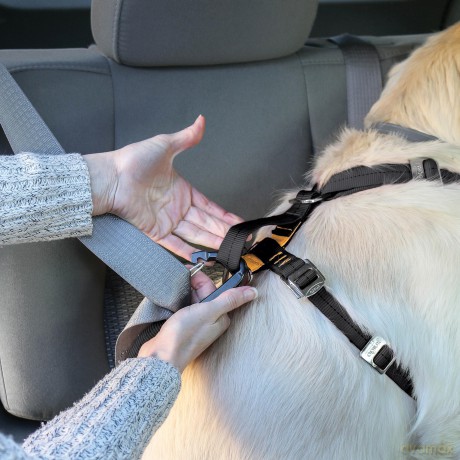 Kurgo - Strength Tru-Fit Dog Car Harness L, black - (81314601258)