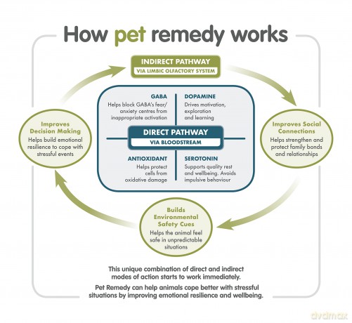 Pet Remedy - Calming Atomizer 220V 40 ml. f/60 days - (PR79489)