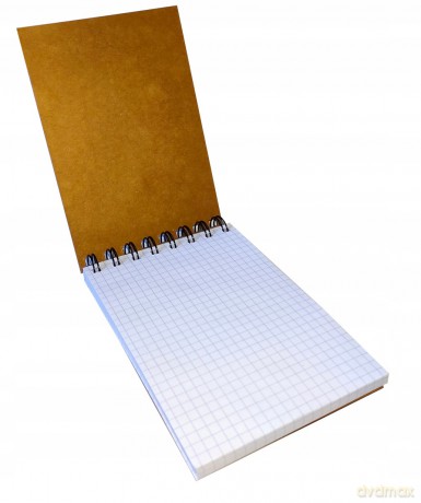 Kołonotes A6/96k Kratka z Gumką Minnie Beniamin 103564 Ben