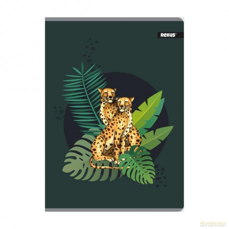 Zeszyt A4/60k Kraft Soft Touch Fol A 5 Beniamin 6096436