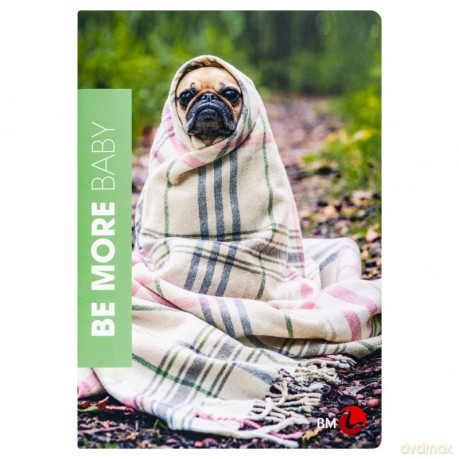 Zeszyt w kratkę A4 Koh-I-Noor 72 kartek 10 sztuk