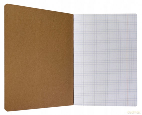 Zeszyt A5/60k Kratka Kraft Liner Fluo Fol A 5 Beniamin 6102168