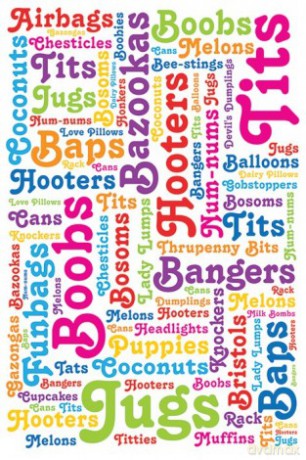 Boob Words [PLAKAT]
