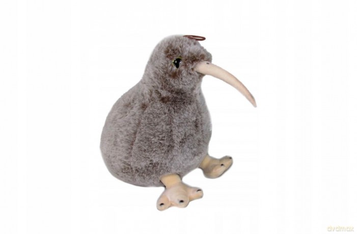 Ptak Kiwi 23cm