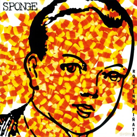 Sponge: Rotting Pinata [Winyl]