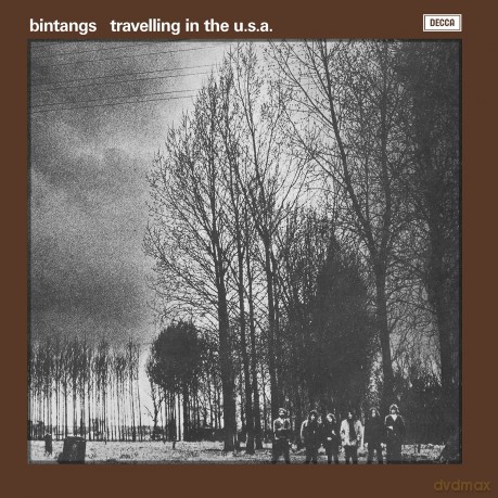 Bintangs: Travelling in the USA [Winyl]