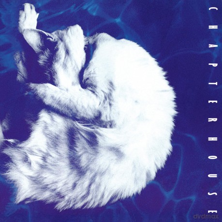 Chapterhouse: Whirlpool [Winyl]