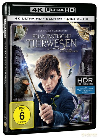 Fantastic Beasts and Where to Find Them [Blu-Ray 4K]+[Blu-Ray]