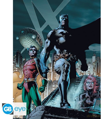 DC COMICS - Portfolio 9 posters Justice League (21x29,7)