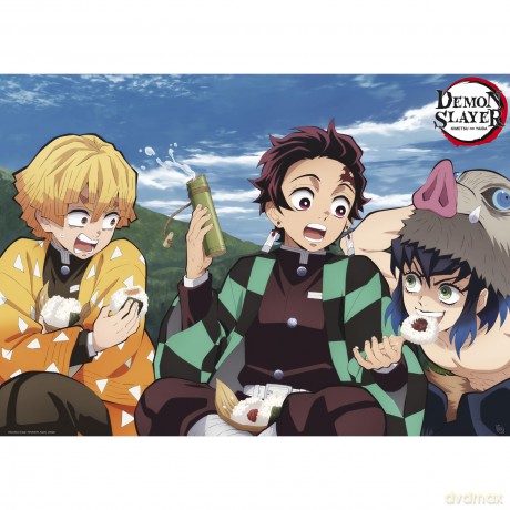 DEMON SLAYER - Portfolio 9 posters Season 1 (219,7)