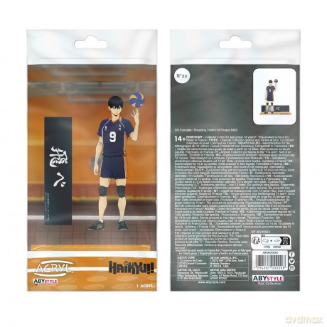 HAIKYU!! - Acryl - Kageyama