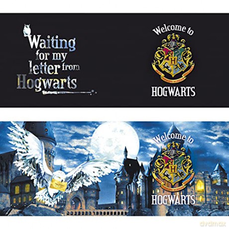 HARRY POTTER - Mug Heat Change - 460 ml - Letter - cardboard