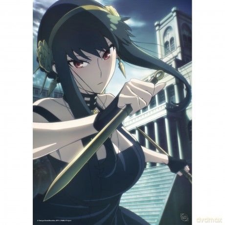 SPY X FAMILY - Portfolio 9 posters Characters S4 (219,7) X5