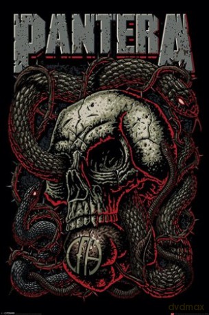 Pantera (Snake Eye) [PLAKAT]