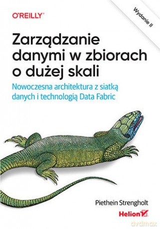 Zarządzanie danymi w zbiorach o dużej skali. Nowoczesna architektura z siatką danych i technologią Data Fabric - Piethein Strengholt [KSIĄŻKA]