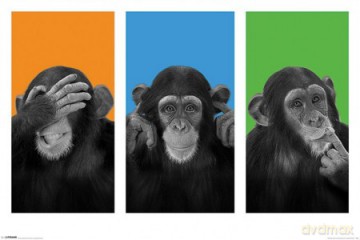 Wildside (See No Evil, Hear No Evil, Speak No Evil) [PLAKAT]