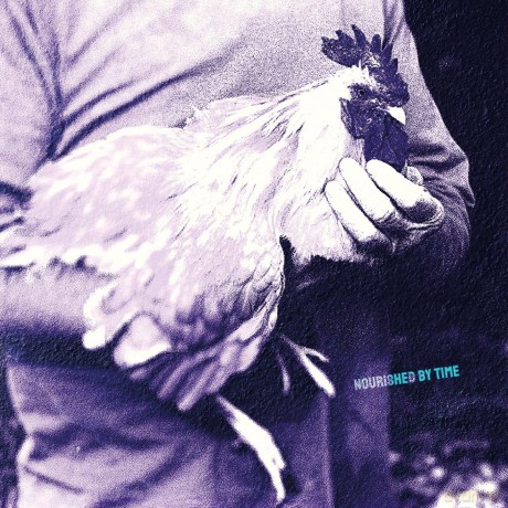 Nourished By Time: Catching Chicken [Winyl]