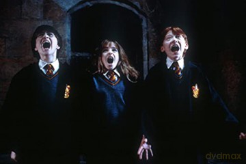 Harry Potter and the Sorcerer's Stone (Harry Potter i Kamień Filozoficzny) [Blu-Ray]