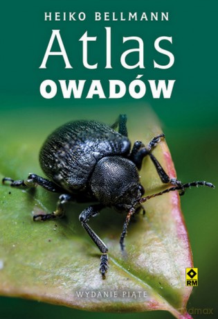 Atlas owadów. Poradnik obserwatora - Heiko Bellmann [KSIĄŻKA]
