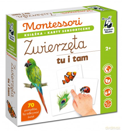 Zwierzęta tu i tam. Kapitan Nauka. Montessori. Karty sensoryczne - Katarzyna Dołhun [KSIĄŻKA]