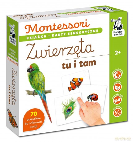 Zwierzęta tu i tam. Kapitan Nauka. Montessori. Karty sensoryczne - Katarzyna Dołhun [KSIĄŻKA]