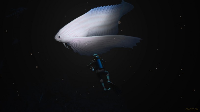 Endless Ocean Luminous [GRA SWITCH]