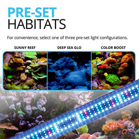 FLUVAL - Sea Marine 3.0 Led 32W 61-85Cm - (120.8352)