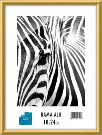 Rama aluminiowa 18x24 cm [OPRAWA]