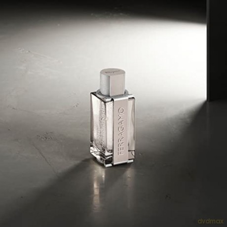Salvatore Ferragamo - Bright Leather EDT 100 ml