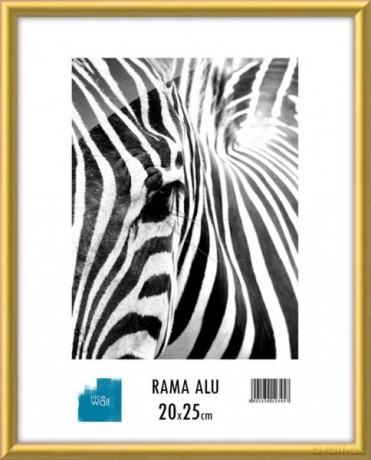 Rama aluminiowa 20x25 cm [OPRAWA]